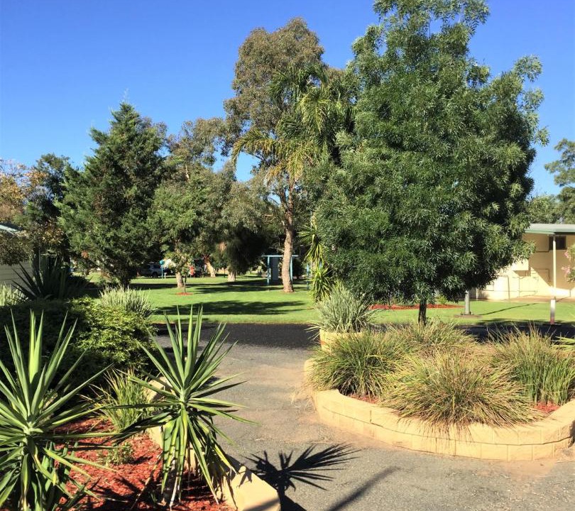 Photo of Others in Junee