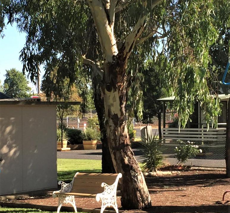 Photo of Others in Junee