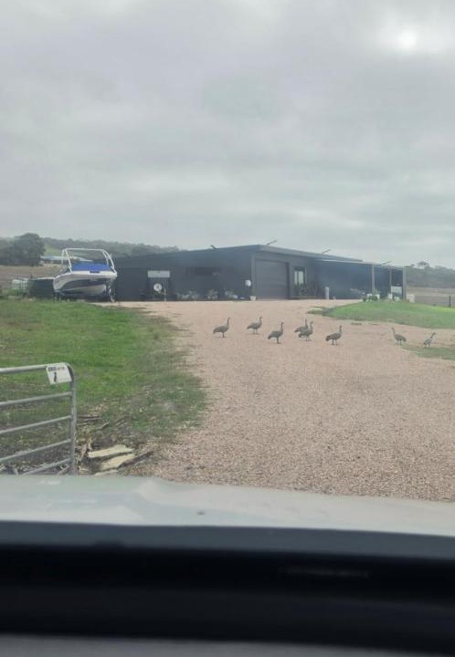 Photo of Others in North Shields