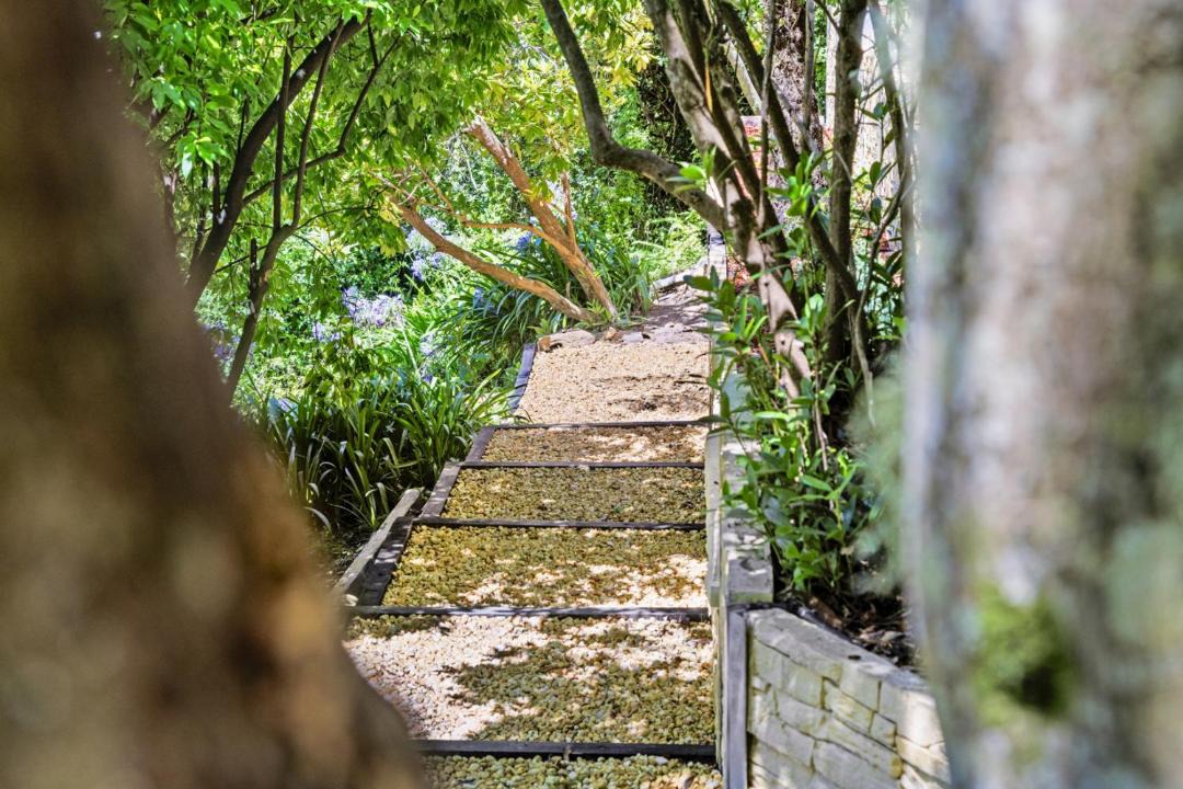 Photo of Others in Wentworth Falls