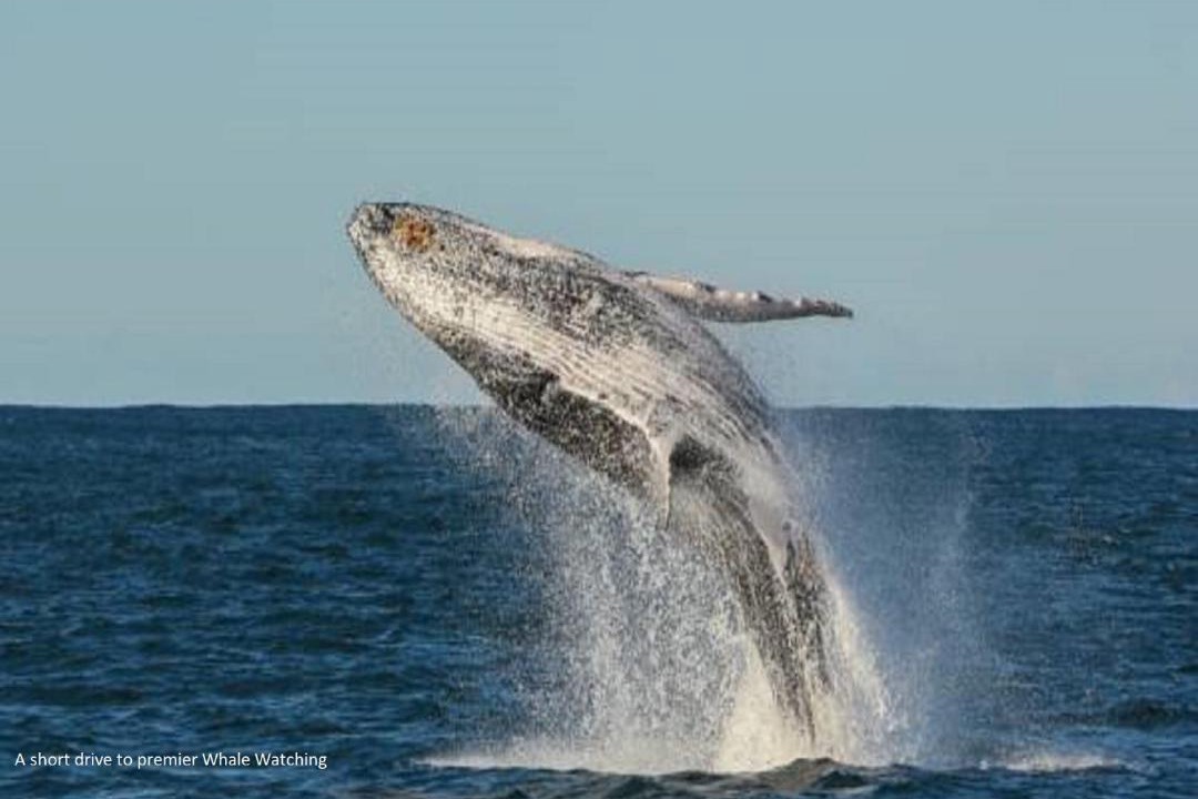 Photo of Others in Fern Bay