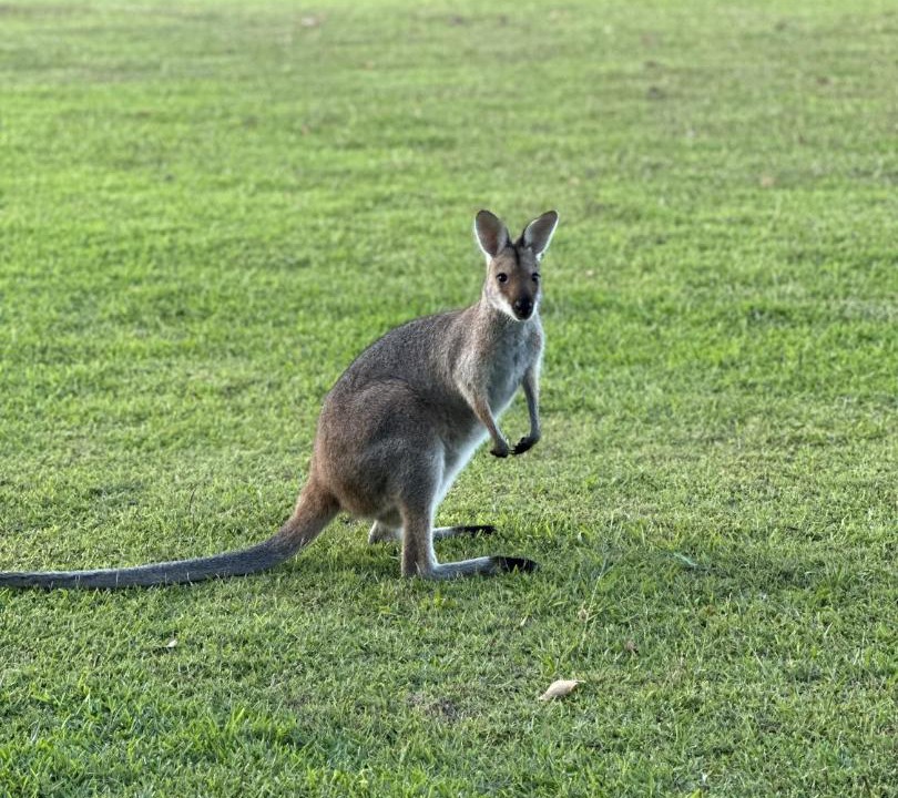 Photo of Others in Diamond Beach