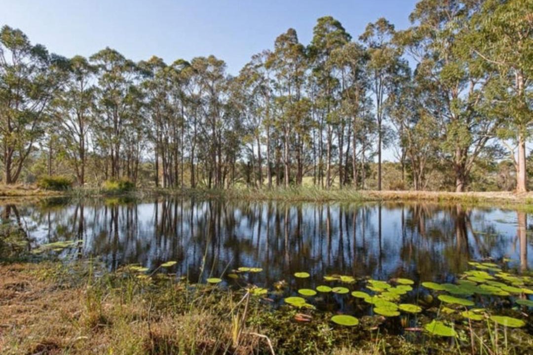 Photo of Others in Cooranbong