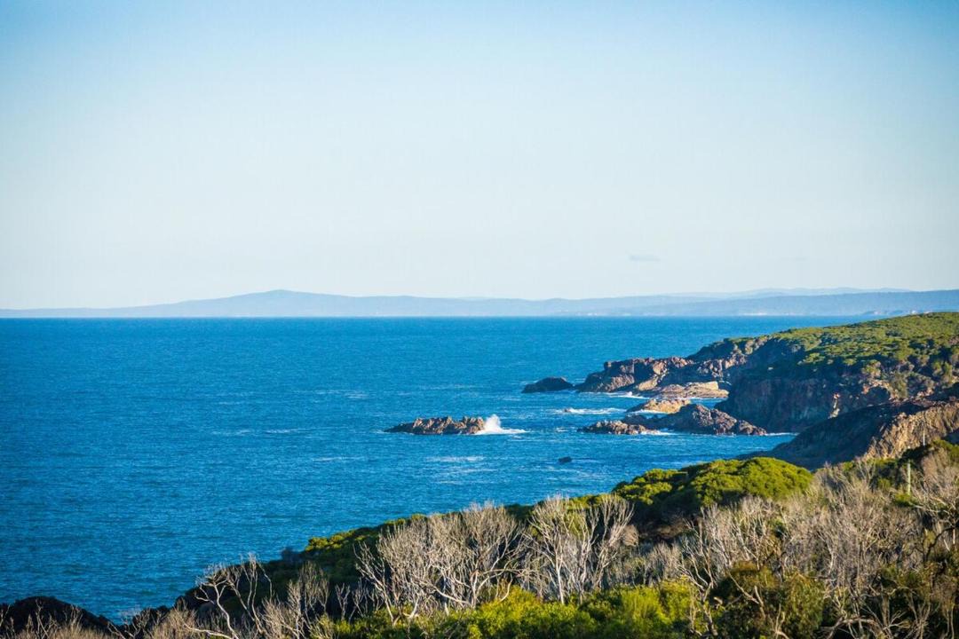 Photo of Others in Tathra