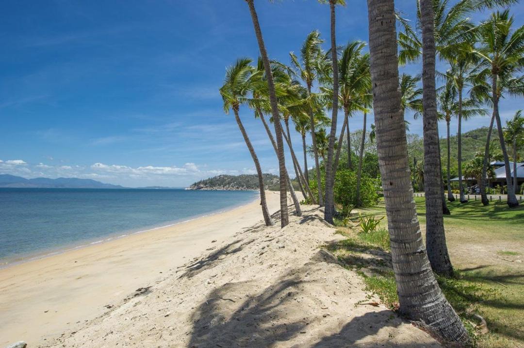Photo of Others in Nelly Bay