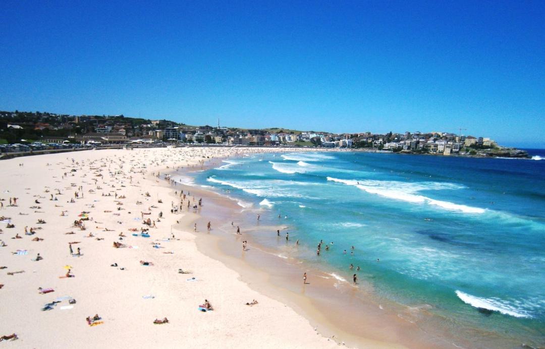 Photo of Others in Bondi Beach