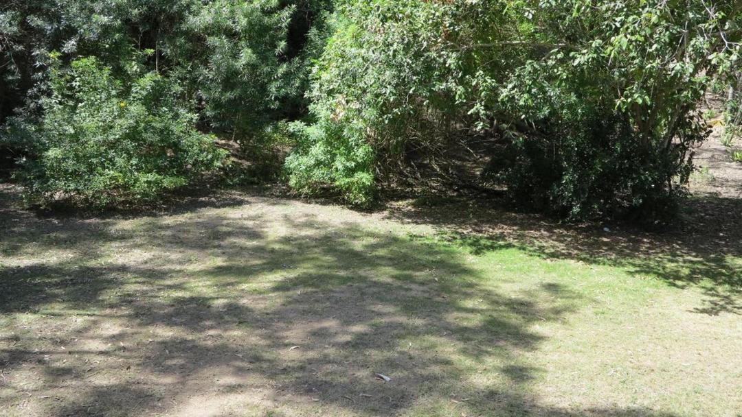Photo of Others in Arcadia