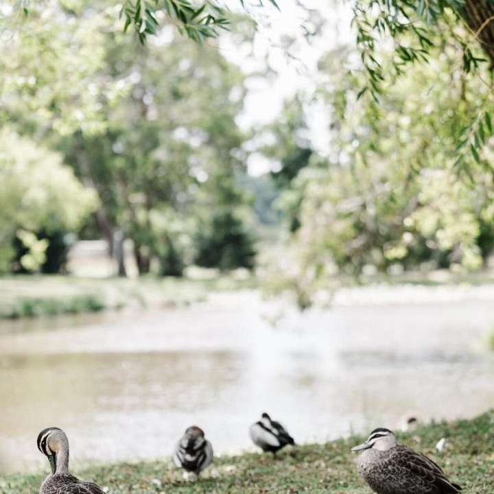 Photo of Others in Trentham