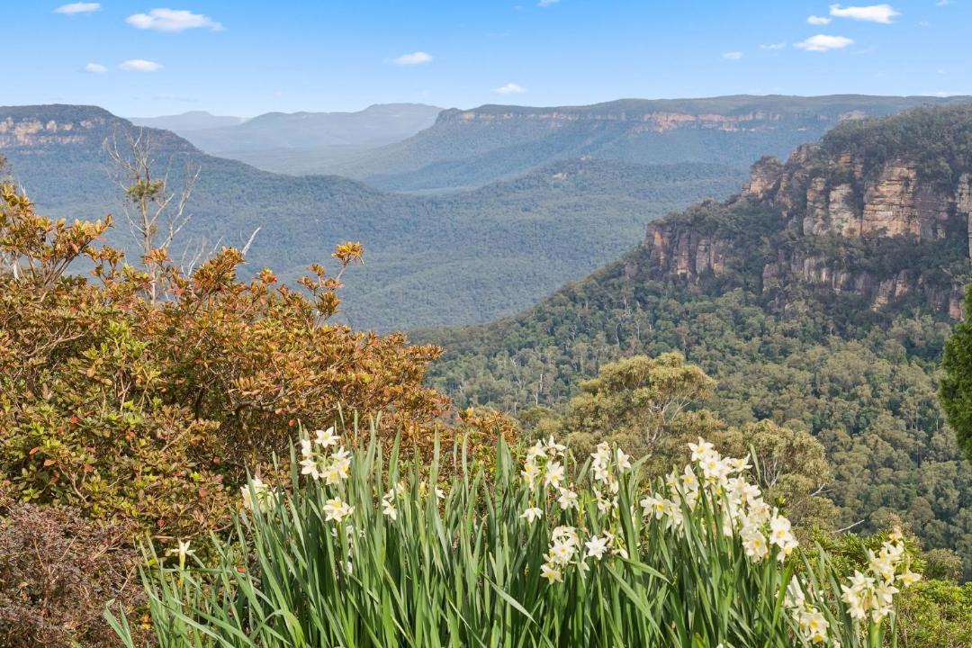 Photo of Others in Leura