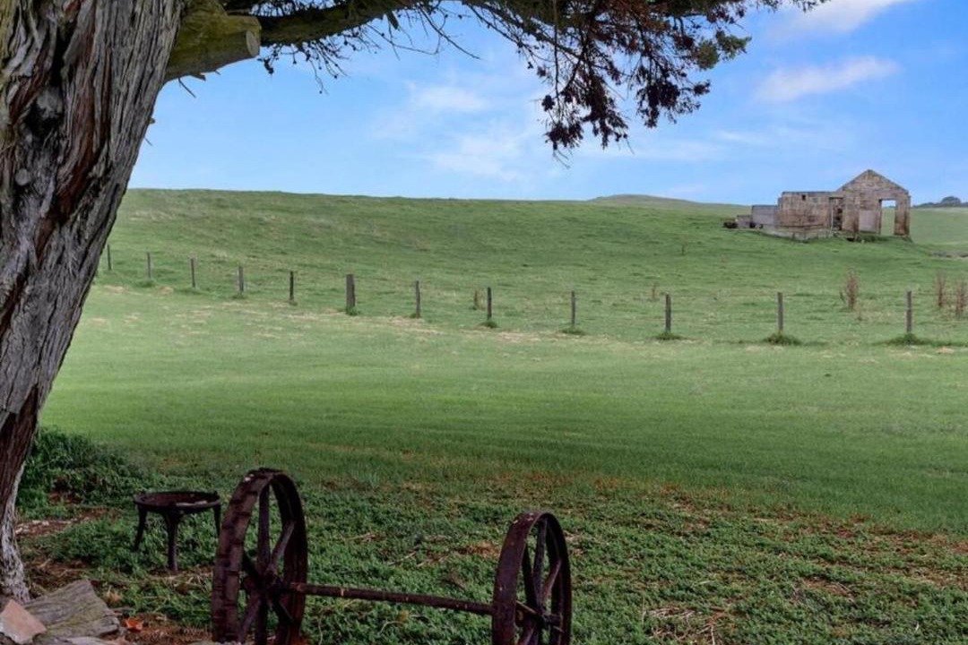 Photo of Others in Cape Bridgewater