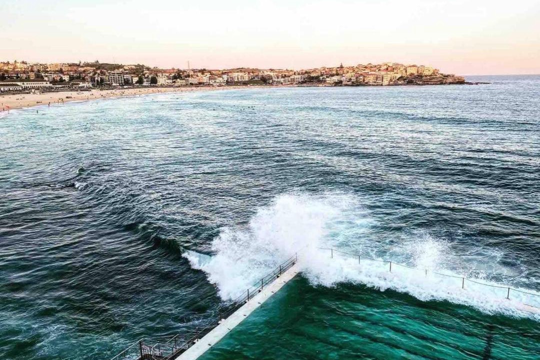 Photo of Others in North Bondi
