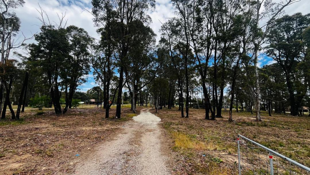 Photo of Others in Clarence