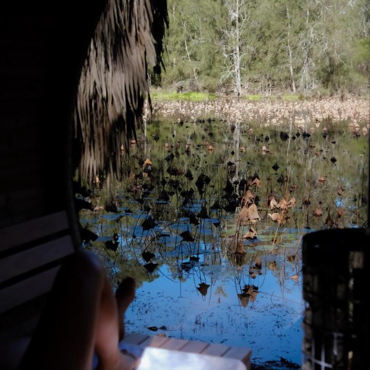 Photo of Others in Lovedale