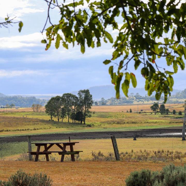 Photo of Others in Hunter Valley