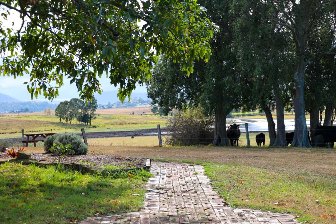 Photo of Others in Hunter Valley