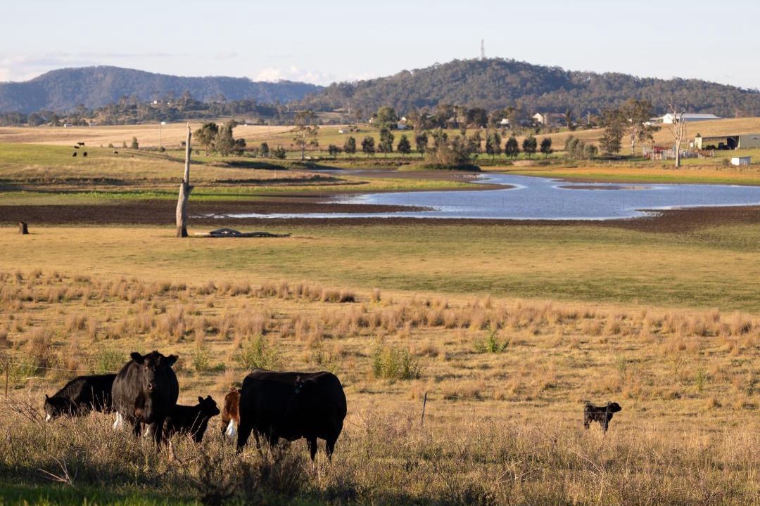 Photo of Others in Hunter Valley