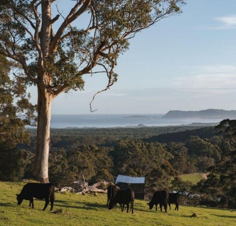 Photo of Others in William Bay