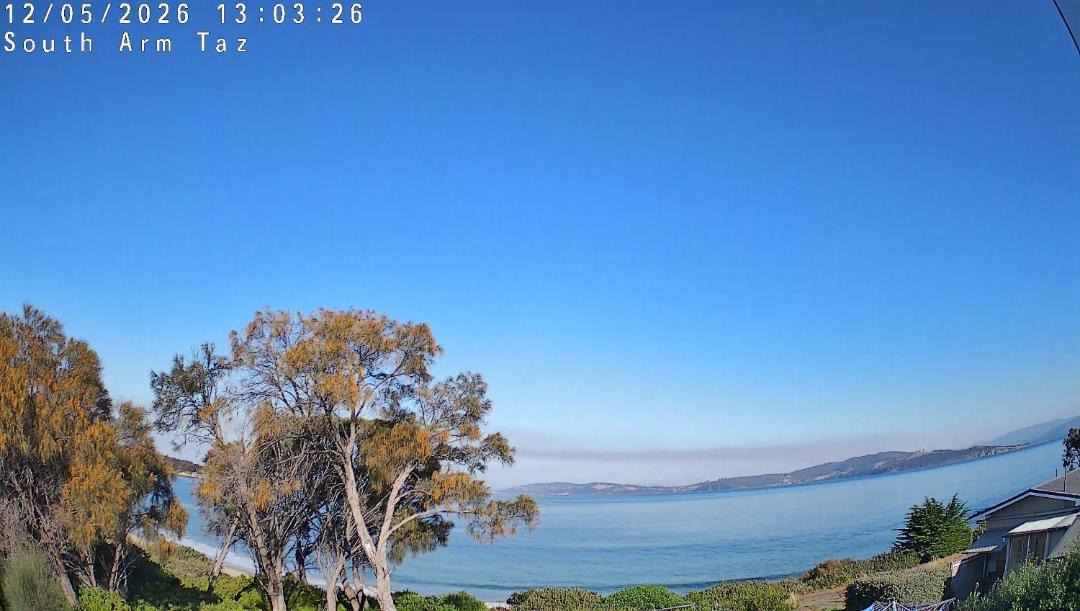 Photo of Others in South Arm
