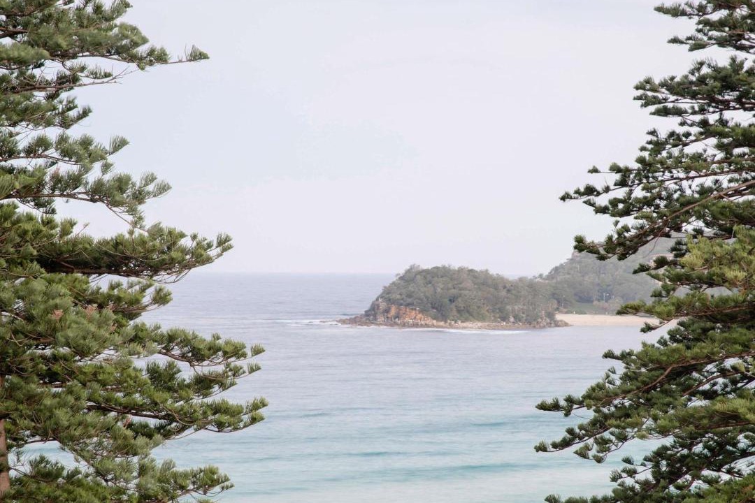Photo of Others in Manly