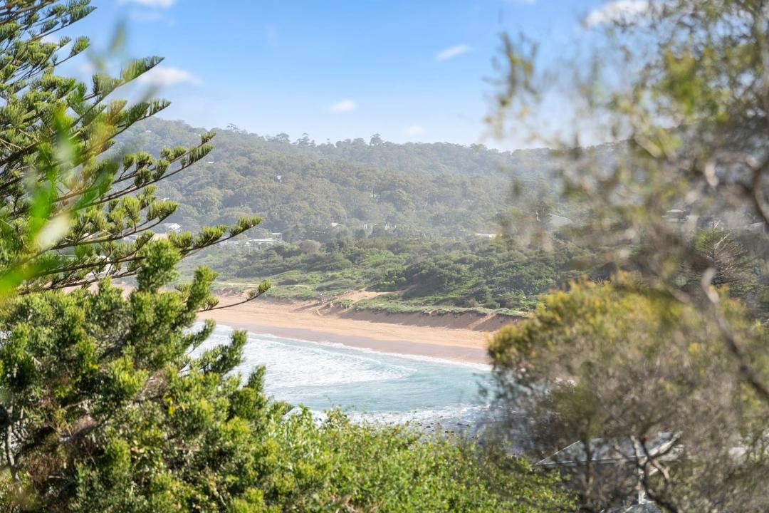 Photo of Others in Avalon Beach