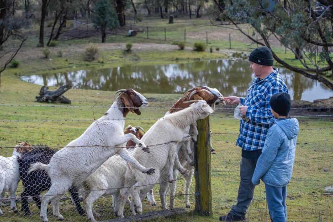 Photo of Others in Windeyer