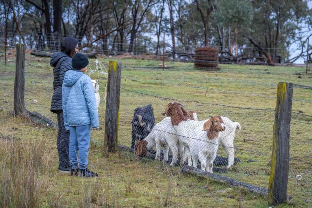 Photo of Others in Windeyer