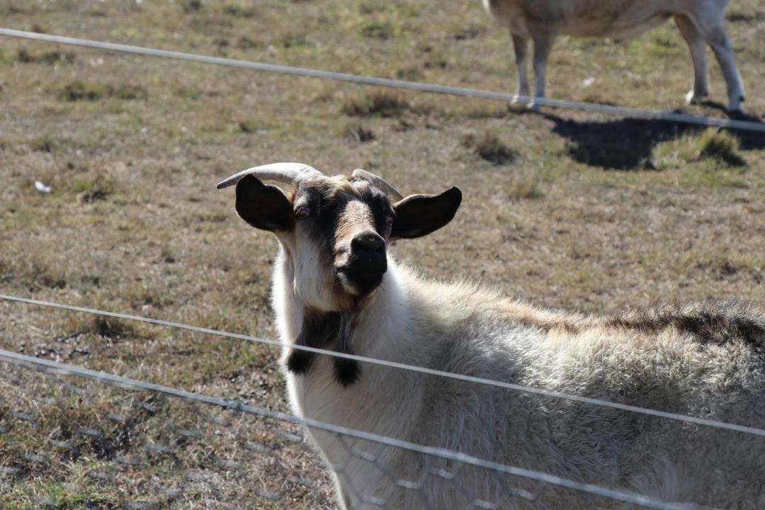 Photo of Others in Glendon Brook