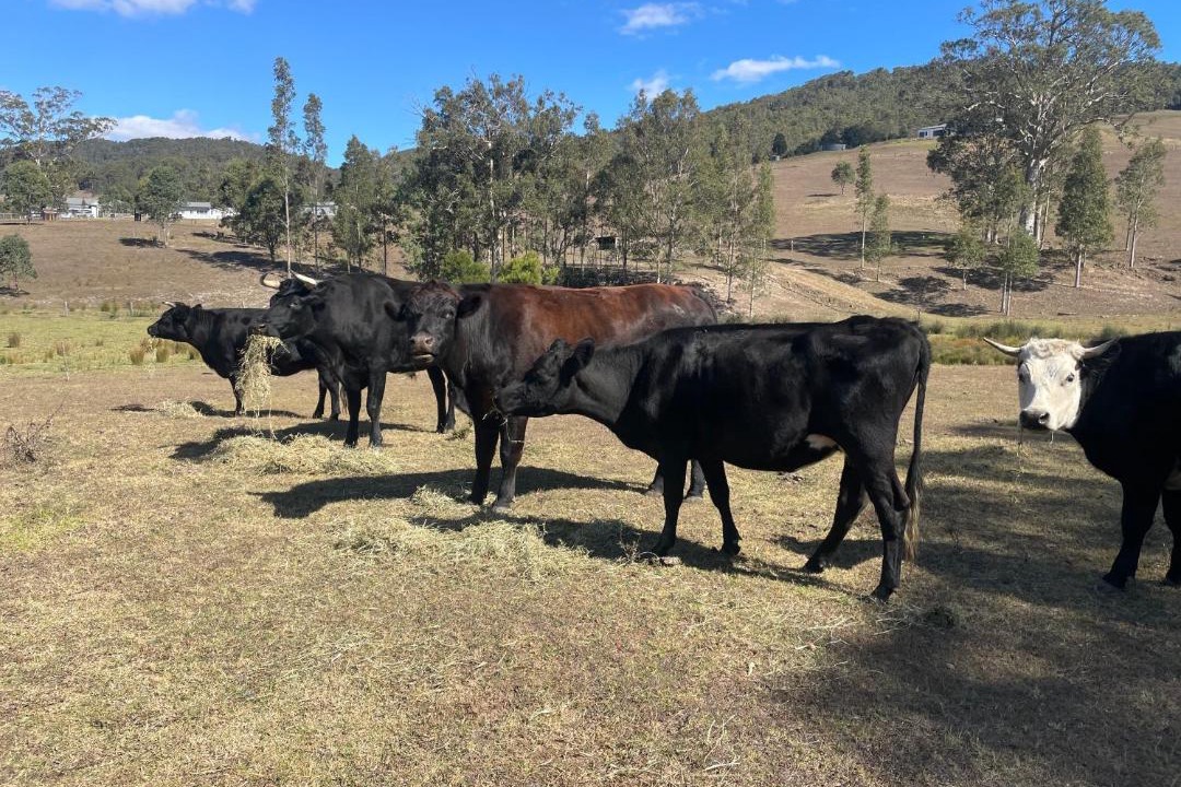 Photo of Others in Glendon Brook
