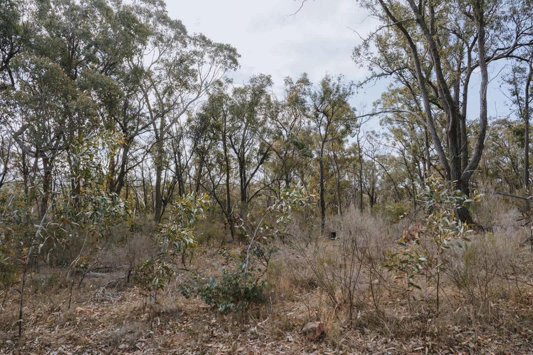 Photo of Others in Tallarook