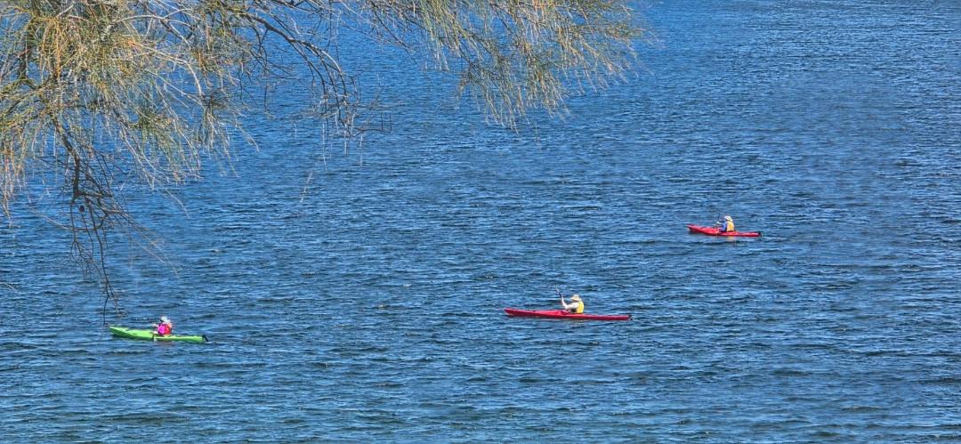Photo of Others in South Arm