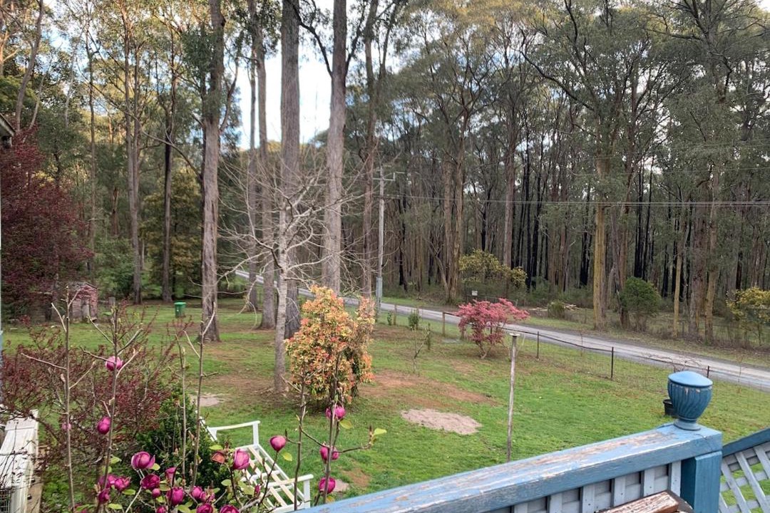 Photo of Others in Reefton