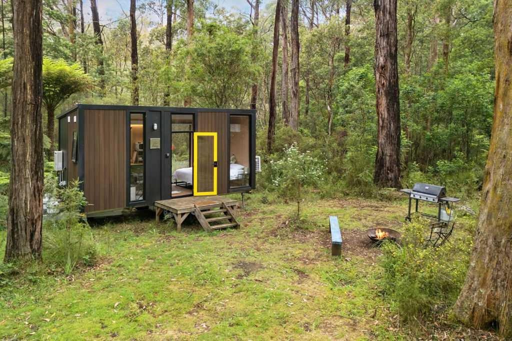 Photo of Others in Toolangi