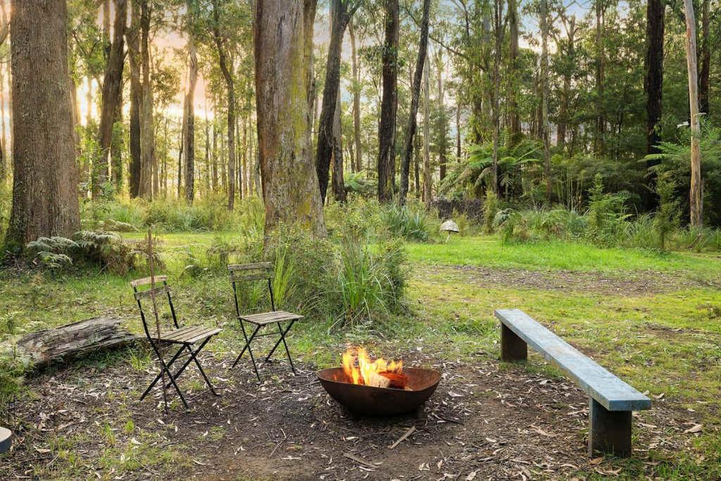 Photo of Others in Toolangi