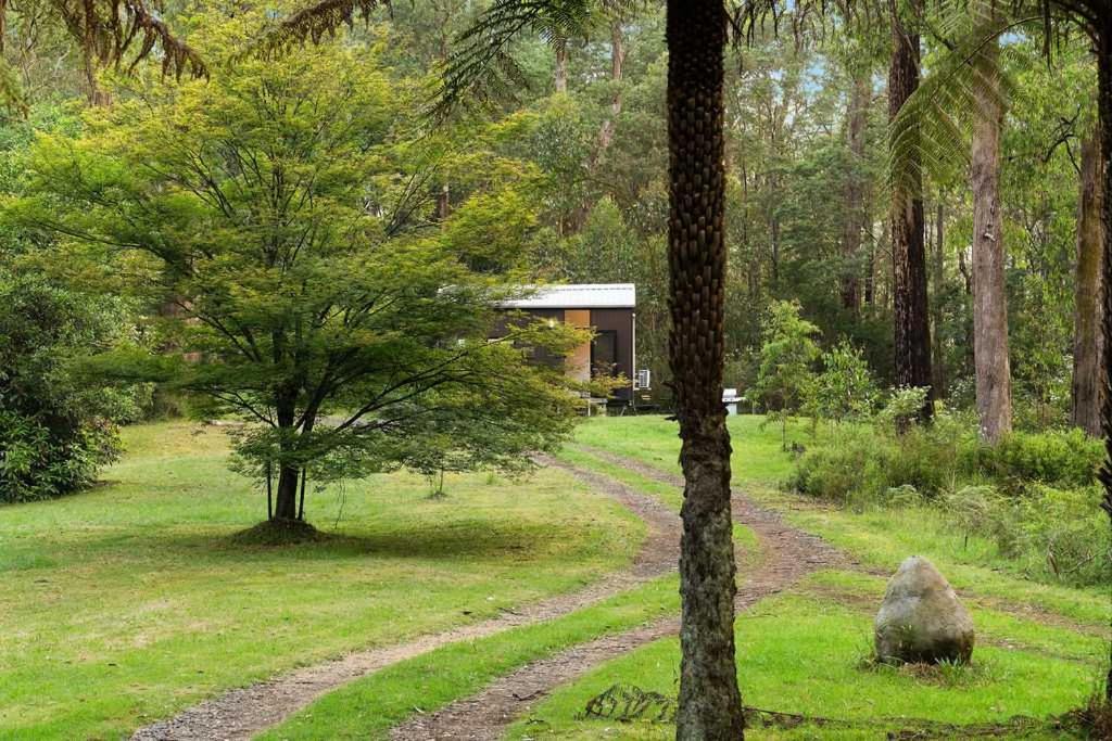 Photo of Others in Toolangi