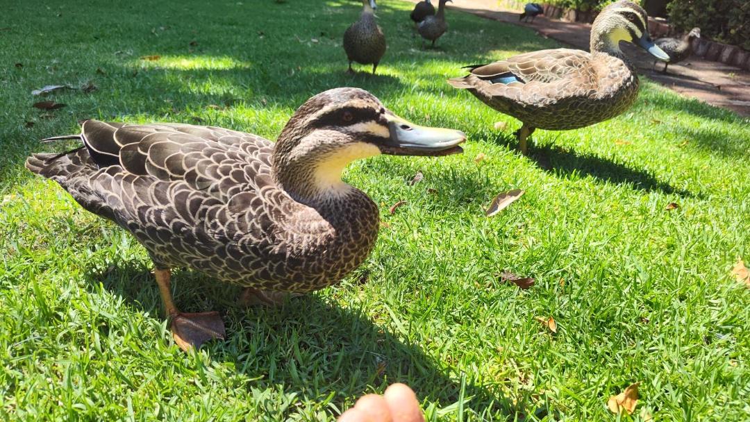 Photo of Others in Margaret River