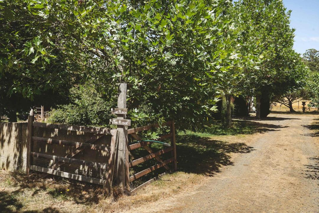Photo of Others in Korweinguboora