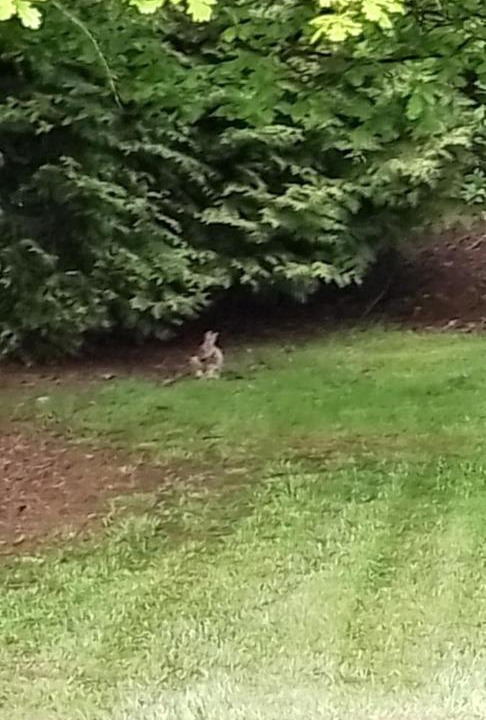 Photo of Others in Wilmot