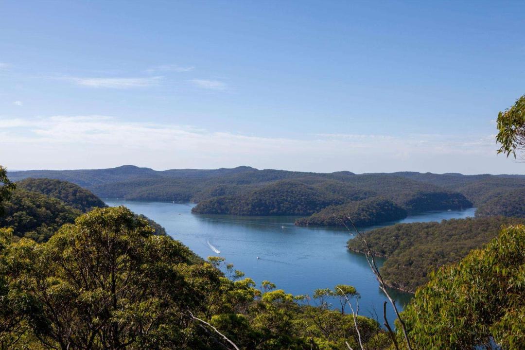 Photo of Others in Warrawee