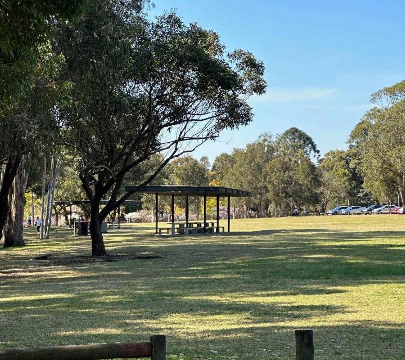 Photo of Others in Wentworthville