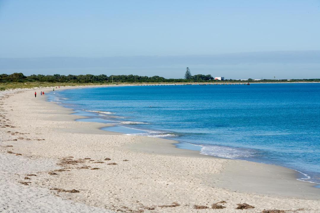 Photo of Others in Coogee