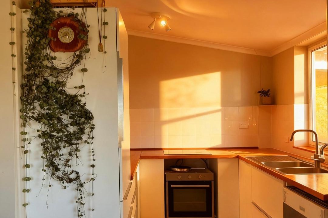 Photo of Kitchen in Marchmont