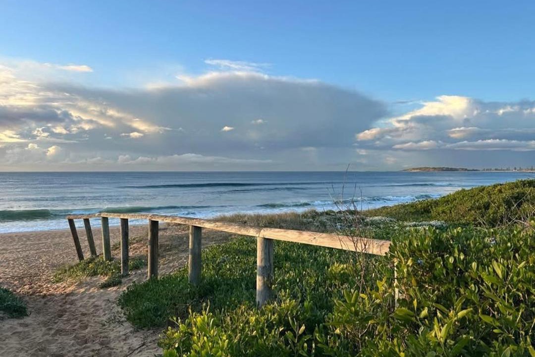 Photo of Others in Narrabeen