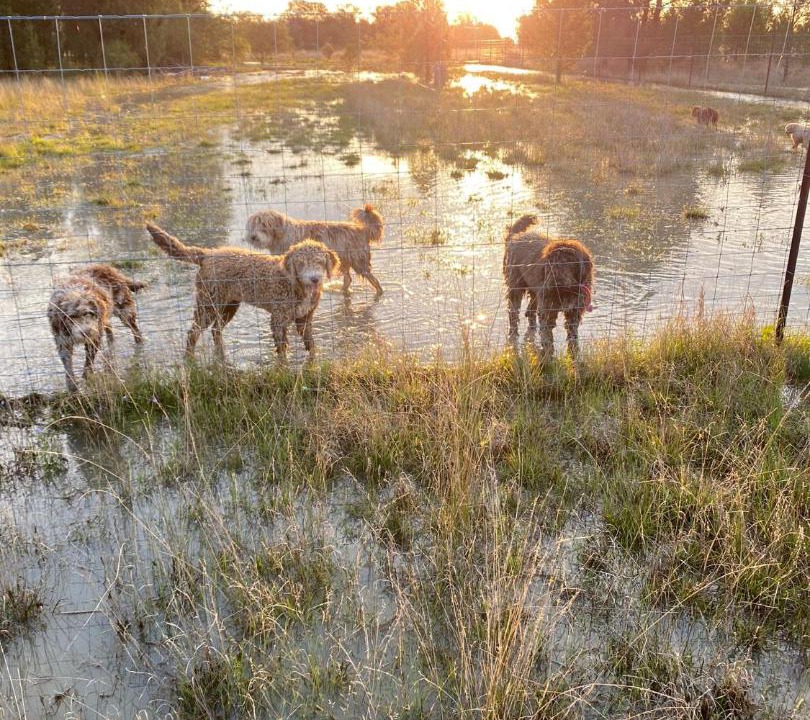 Photo of Others in Bohena Creek
