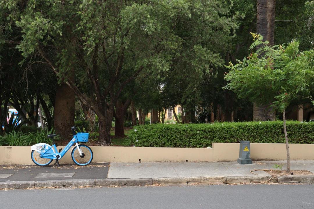 Photo of Others in Glebe