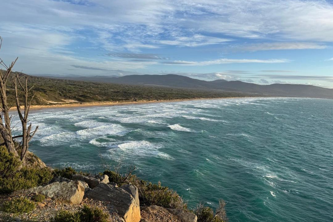Photo of Others in Greens Beach