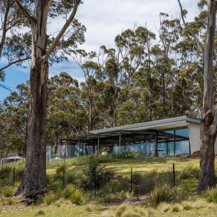 Photo of Others in North Bruny