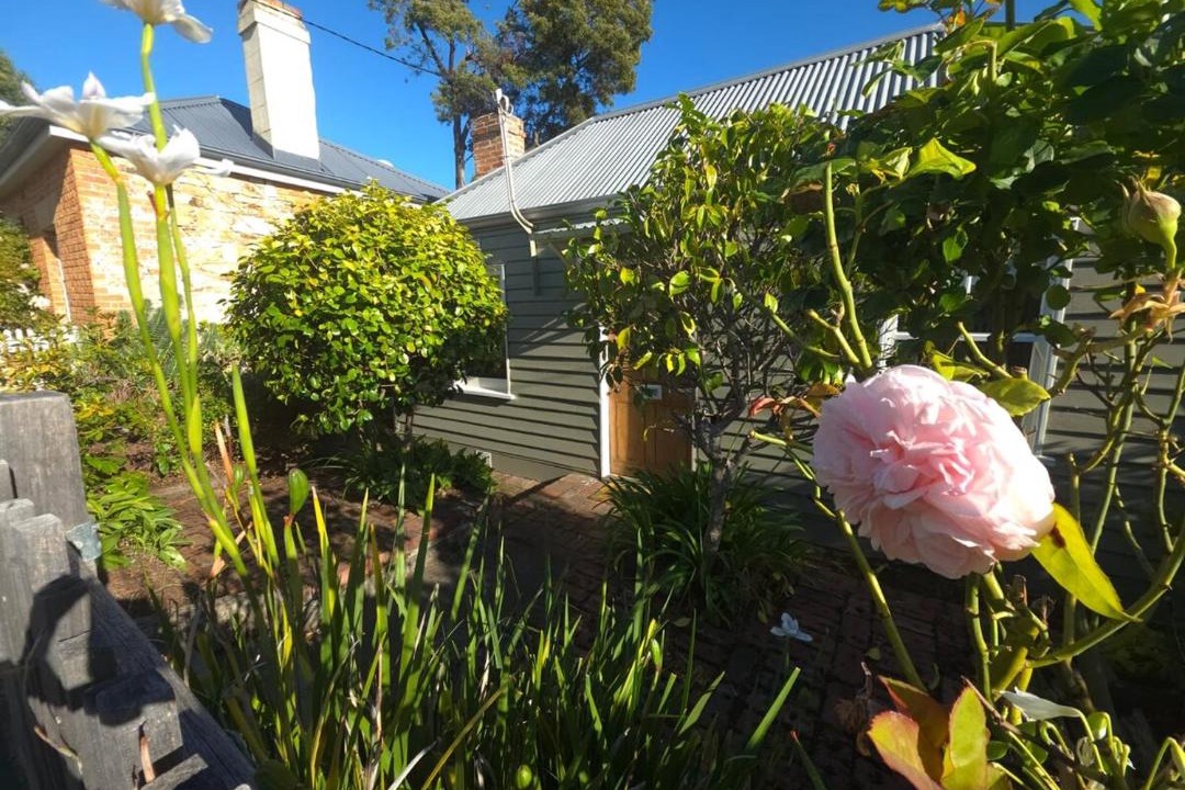 Photo of Others in South Hobart
