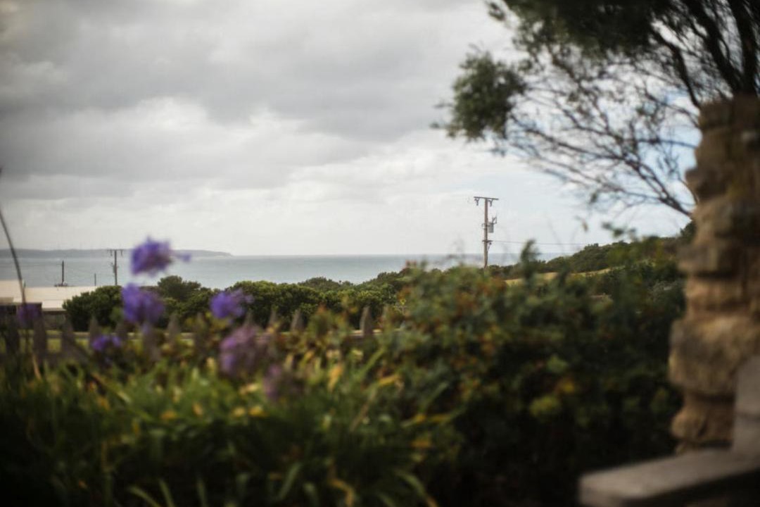 Photo of Others in Cape Bridgewater