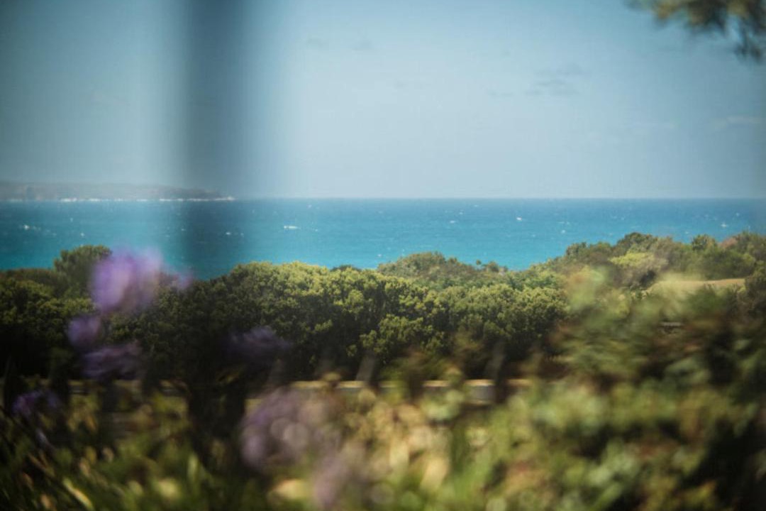 Photo of Others in Cape Bridgewater