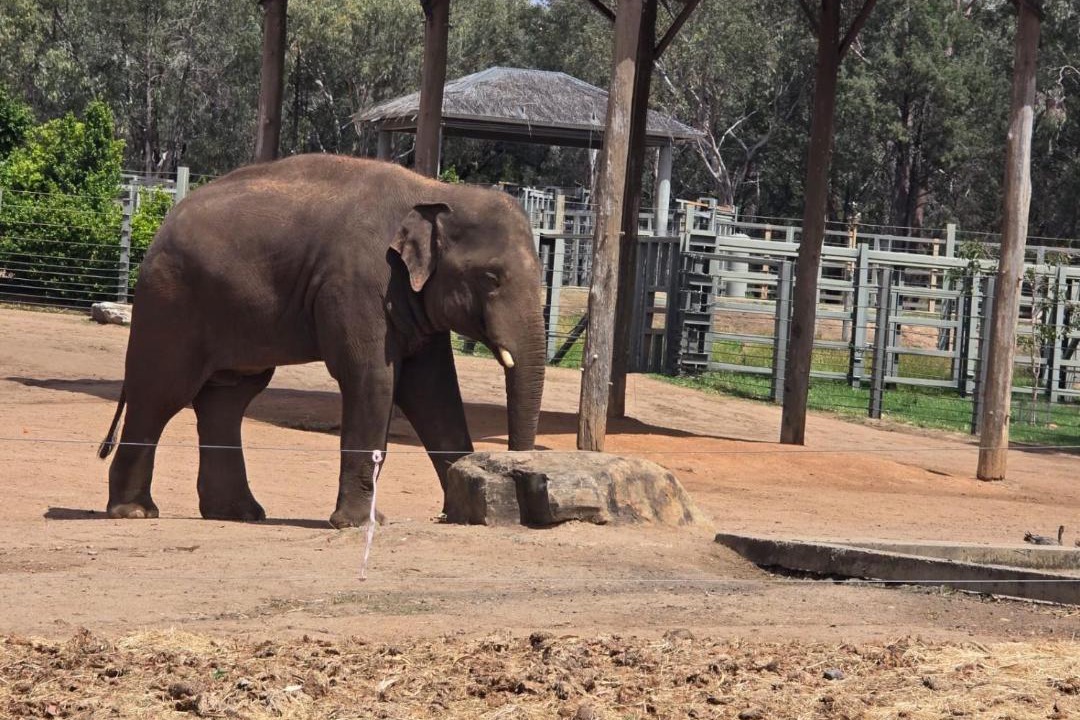 Photo of Others in Dubbo
